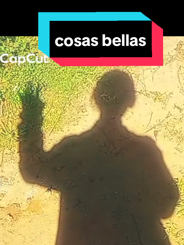 @polilla de caramelo