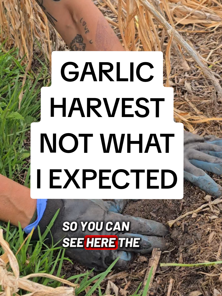 @busy chris gardening