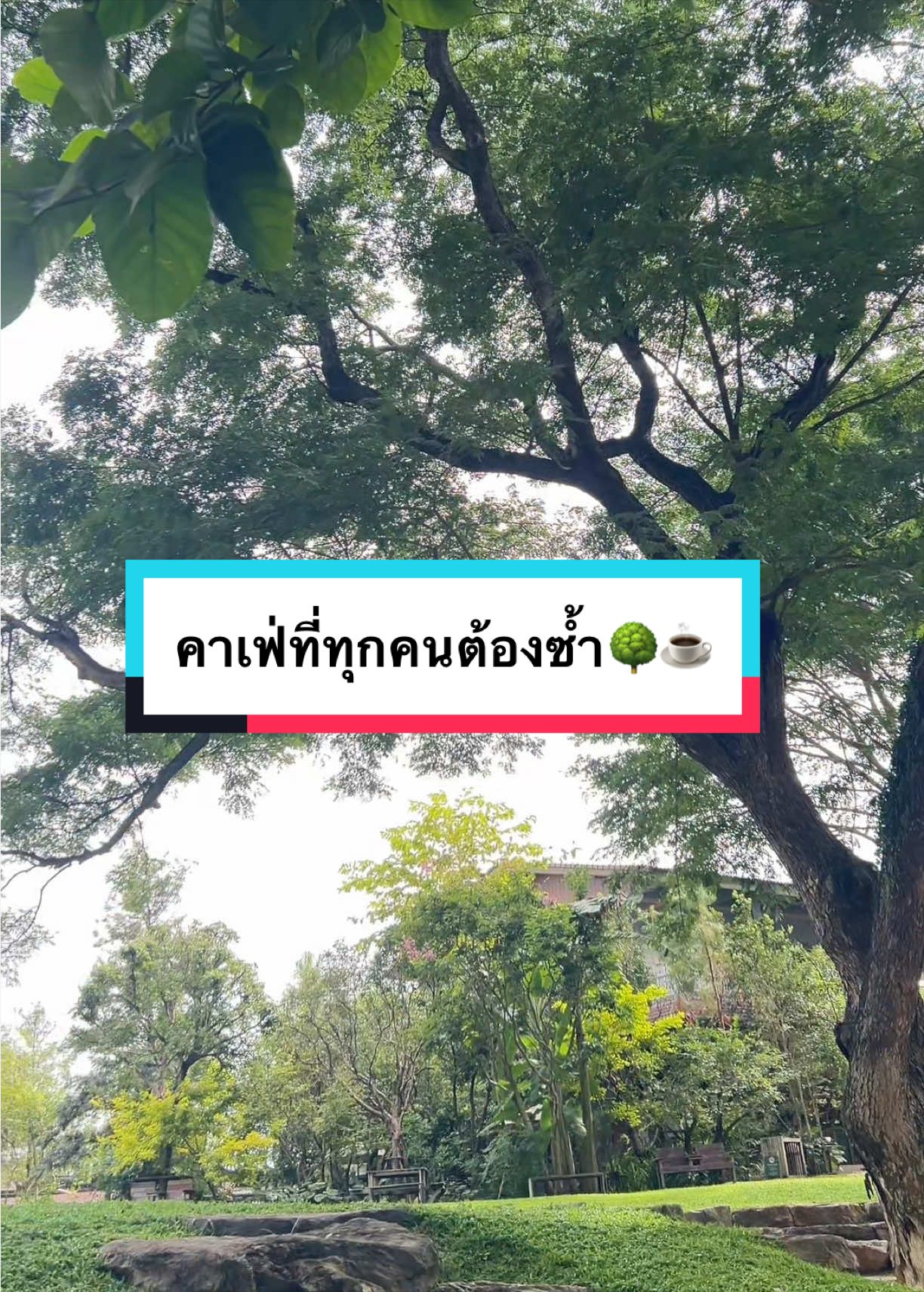 @Amiiz456