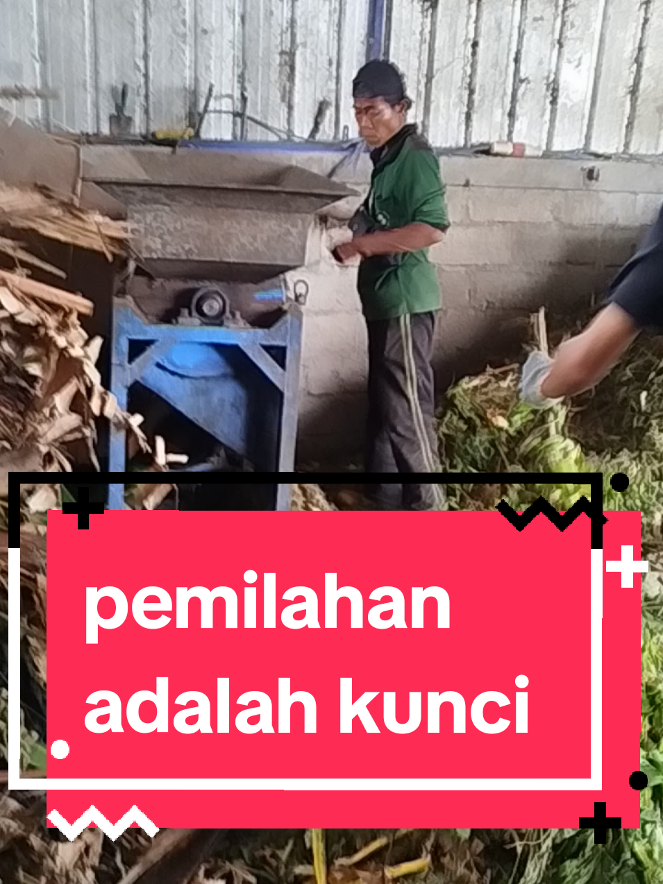 @daurulang.id