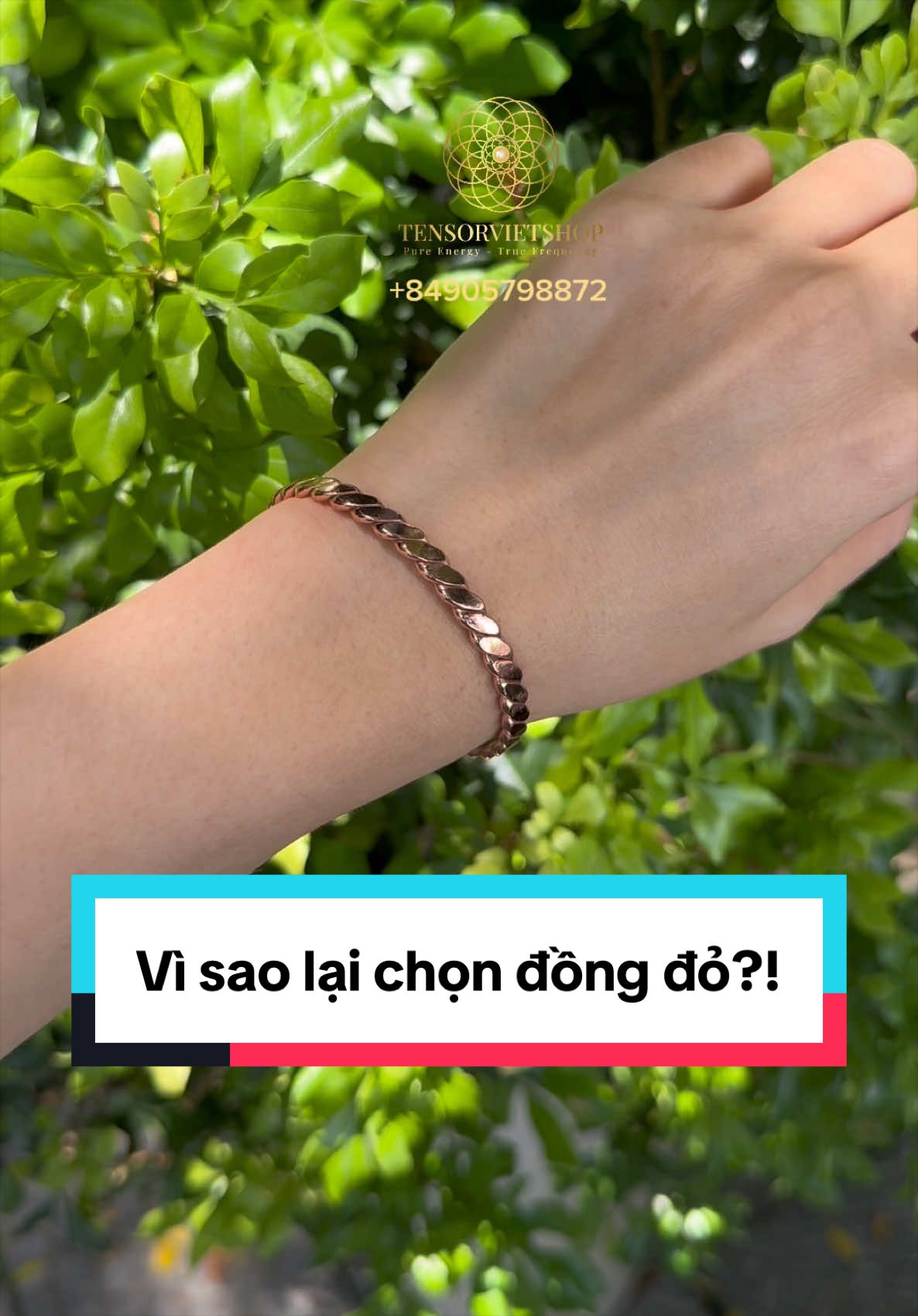 @Tensorvietshop-Tensor Healing