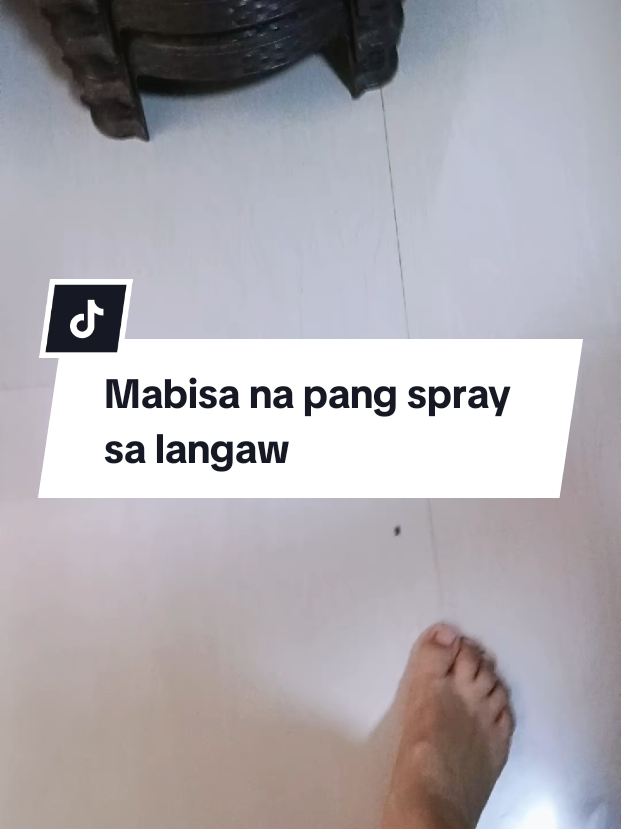 @inday alicia