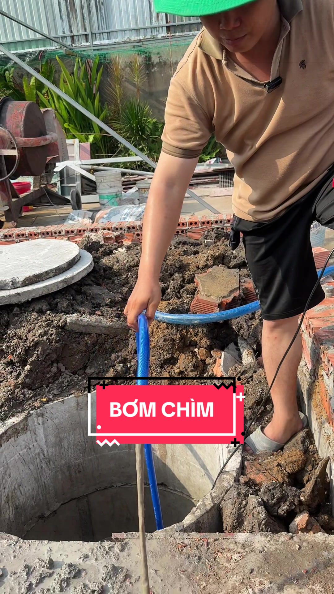 @C&acirc;y Xanh Phong Hồng