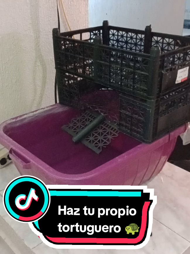 @Tortubalance