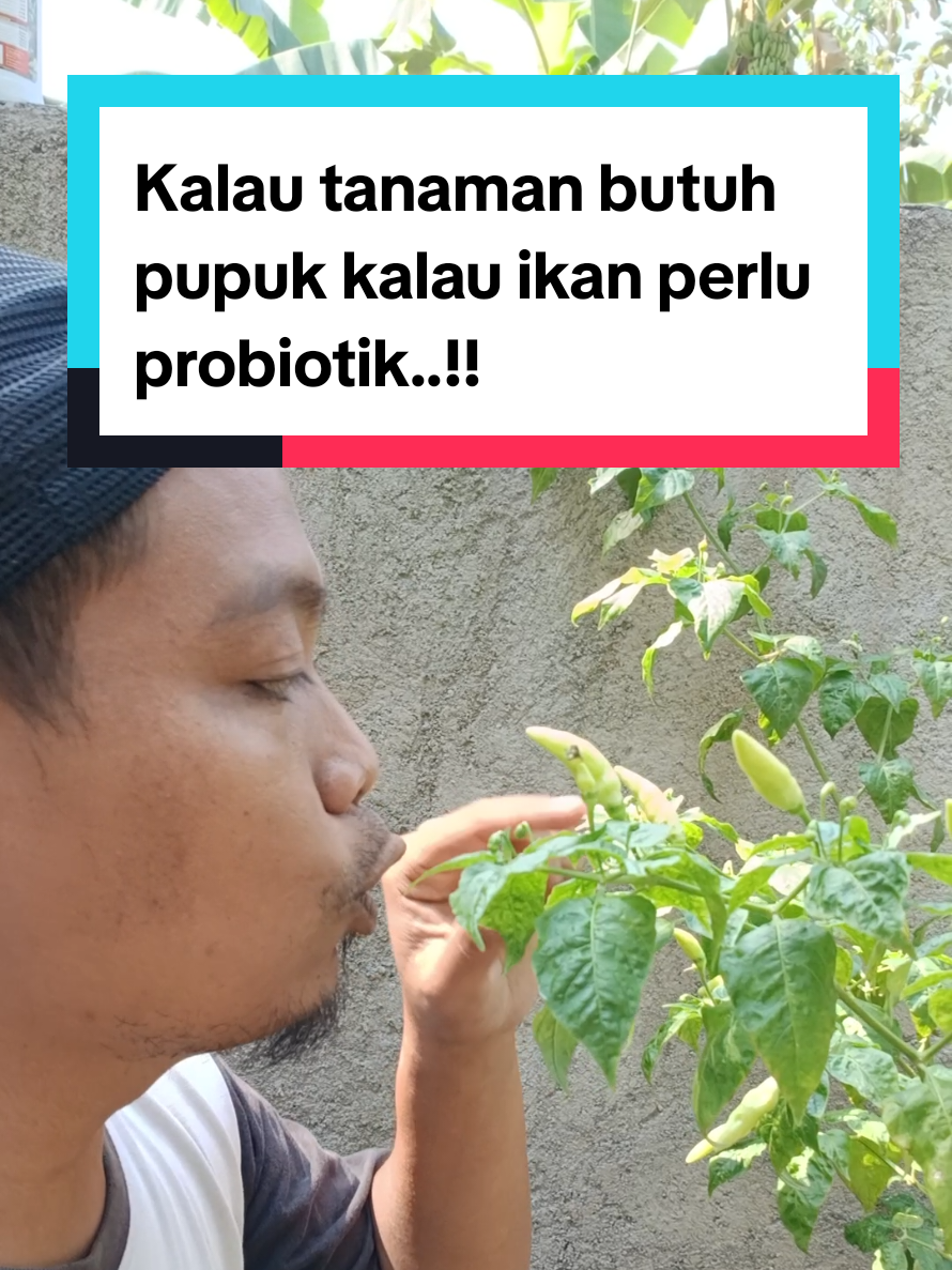 @Kang_Ewi
