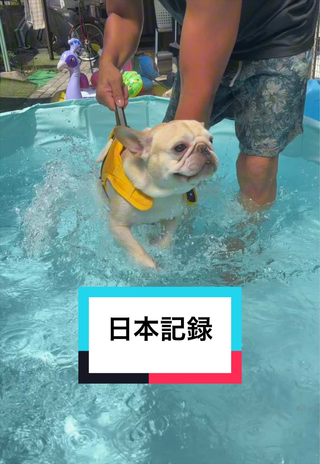 @🐶とん&ぺっぺこぺー🦊