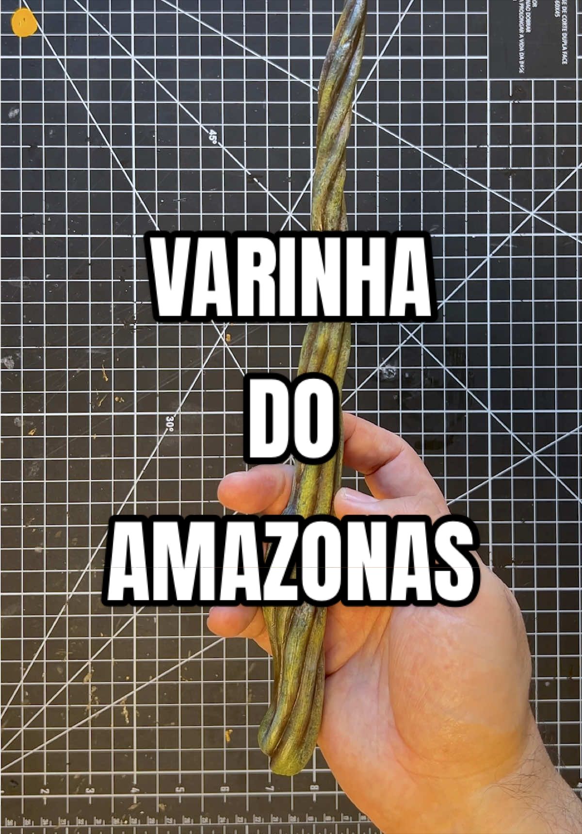 @Kaio Medau