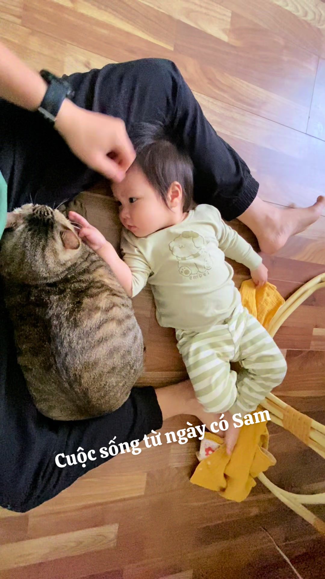 @Gia Đình Cá Cua