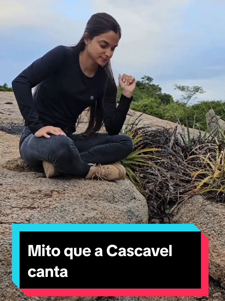 @Princesa das Serpentes
