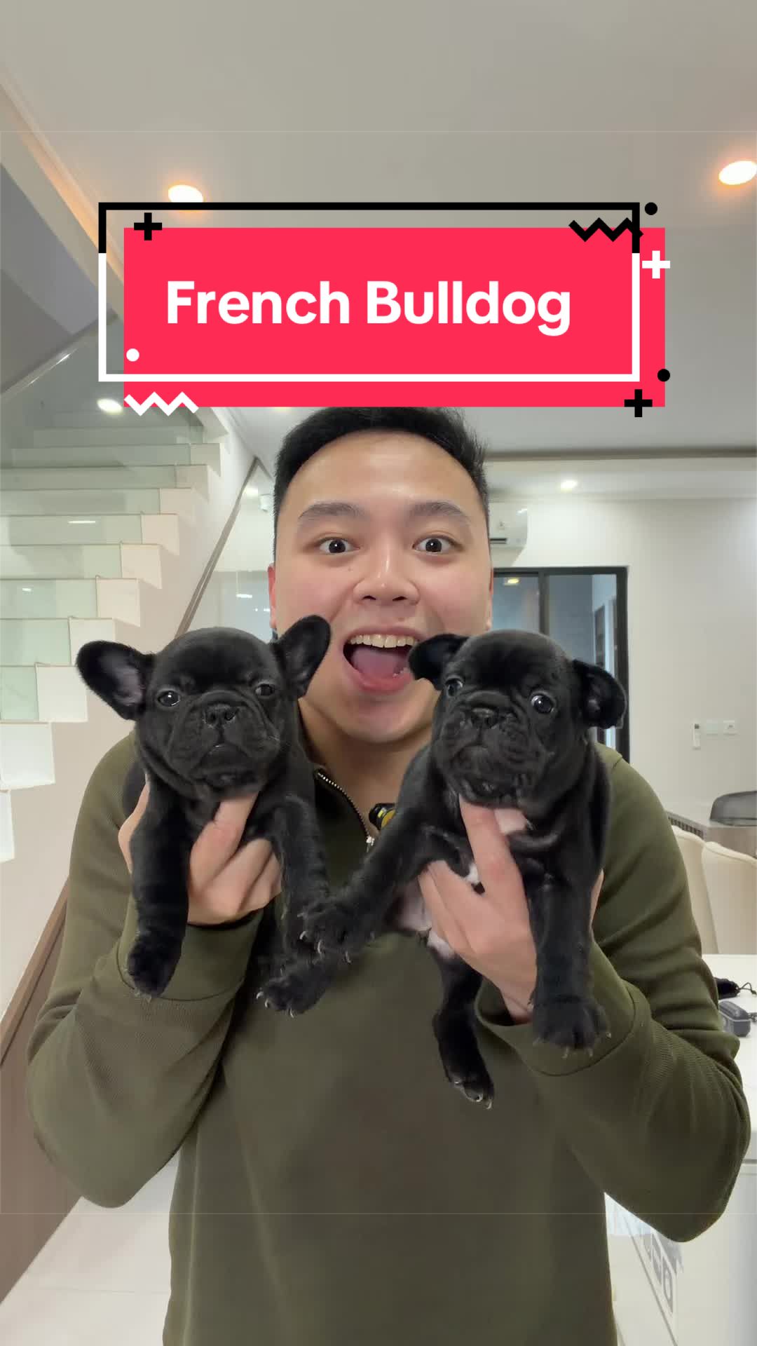 @Koko Guguk