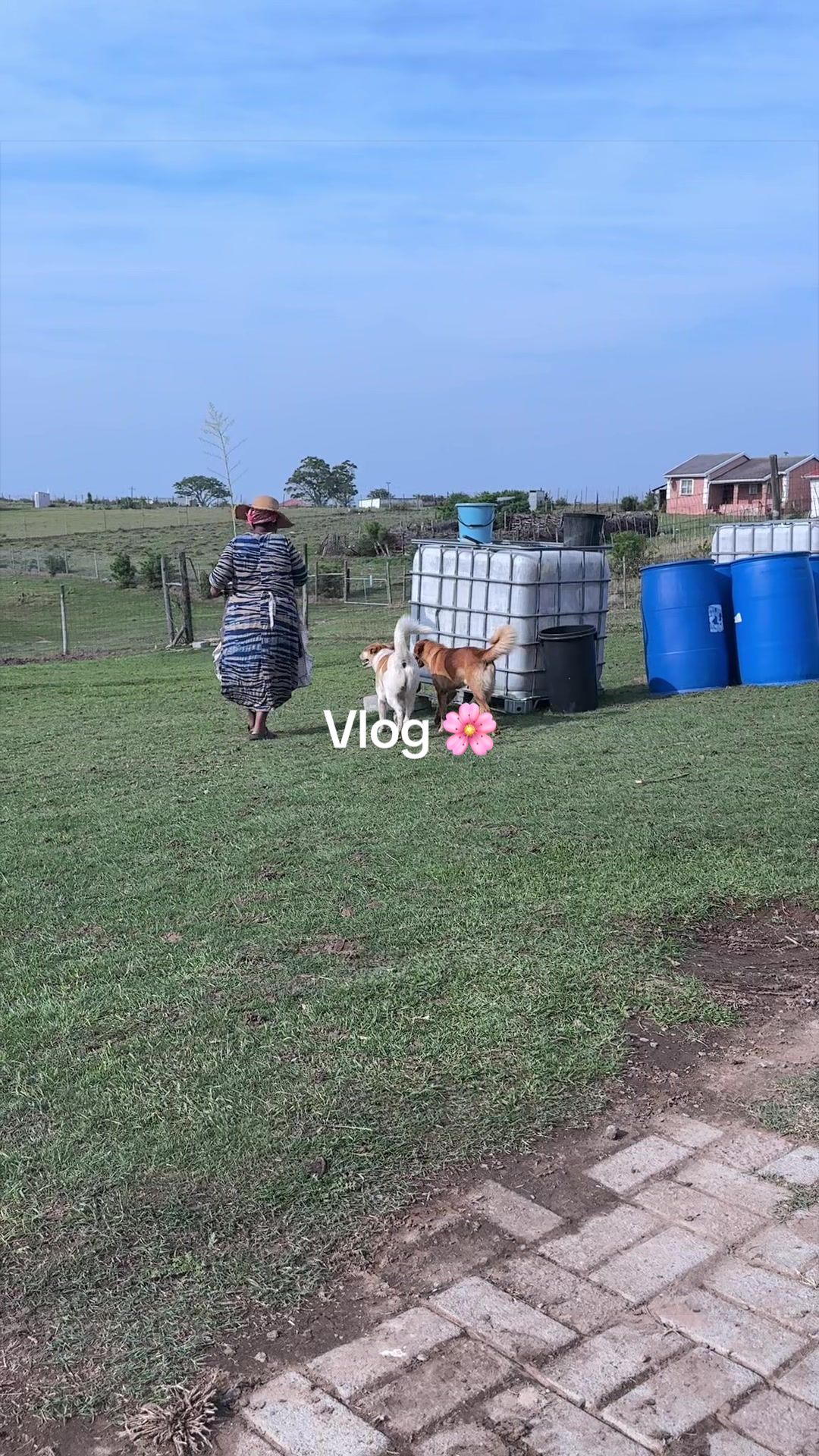 @Neliswa Mxokozeli