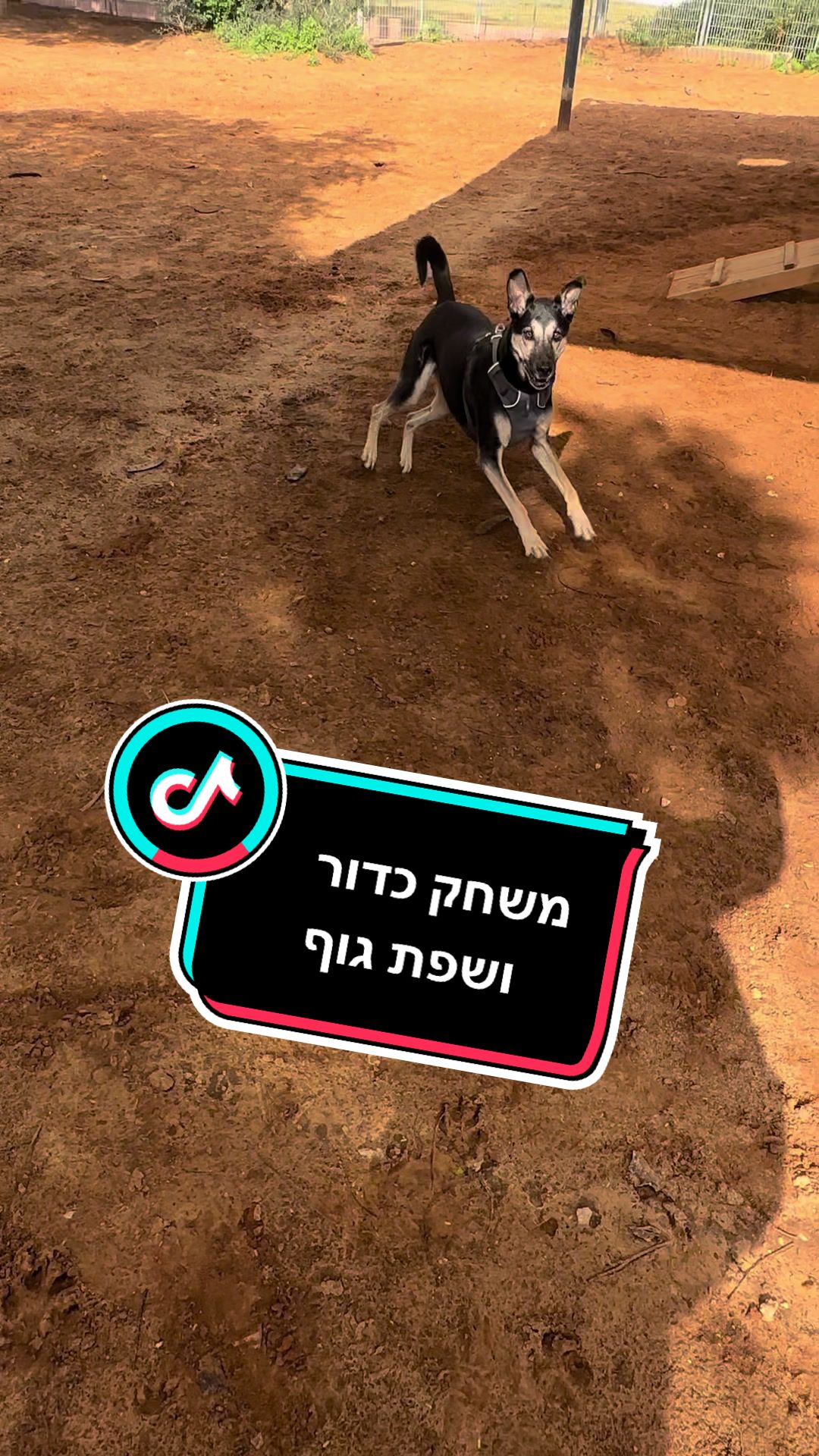 @Orel.Itzhaki ♓️🇮🇱