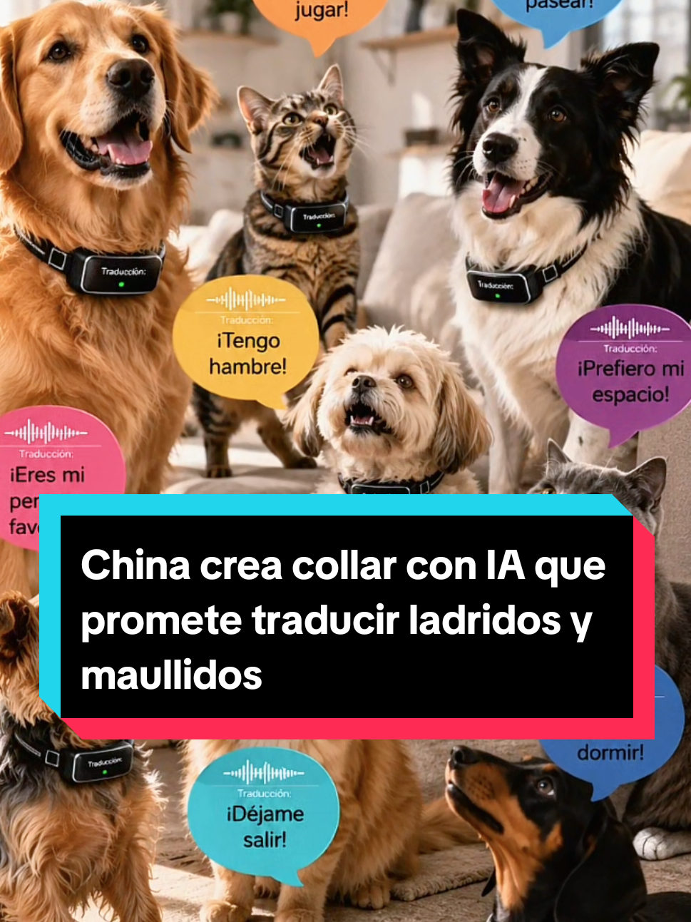 @orbita_latam