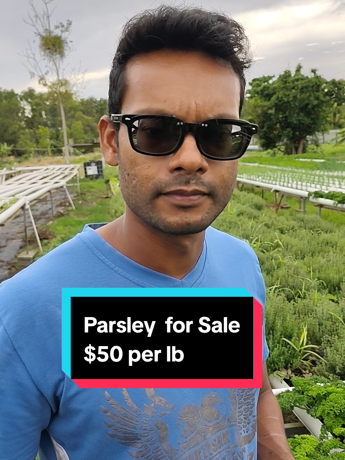 @Trini Farmer Chris 469 7467