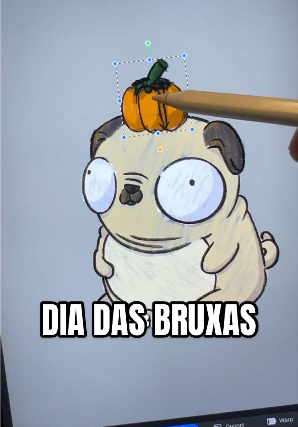 @Kaio Medau