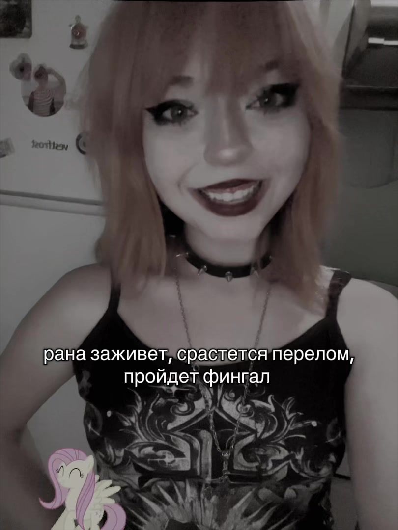@¡!алиса тостер!¡