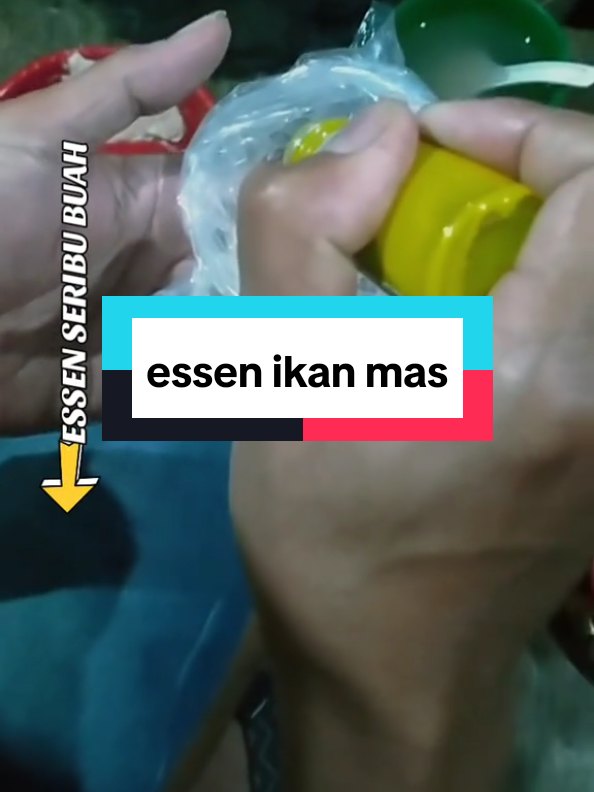 @Berkah FS