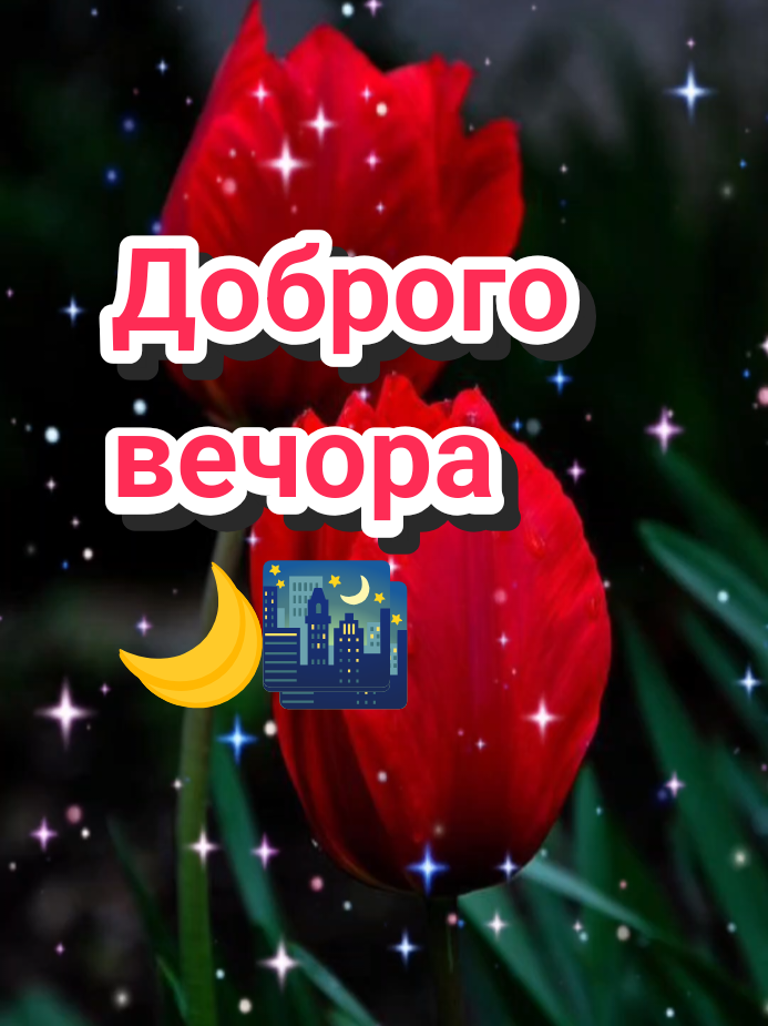 @🌹 𝐋𝐚𝐫𝐢𝐬𝐚 🌹