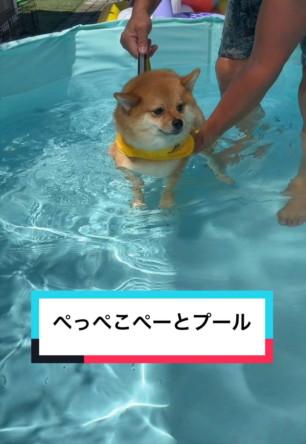 @🐶とん&ぺっぺこぺー🦊