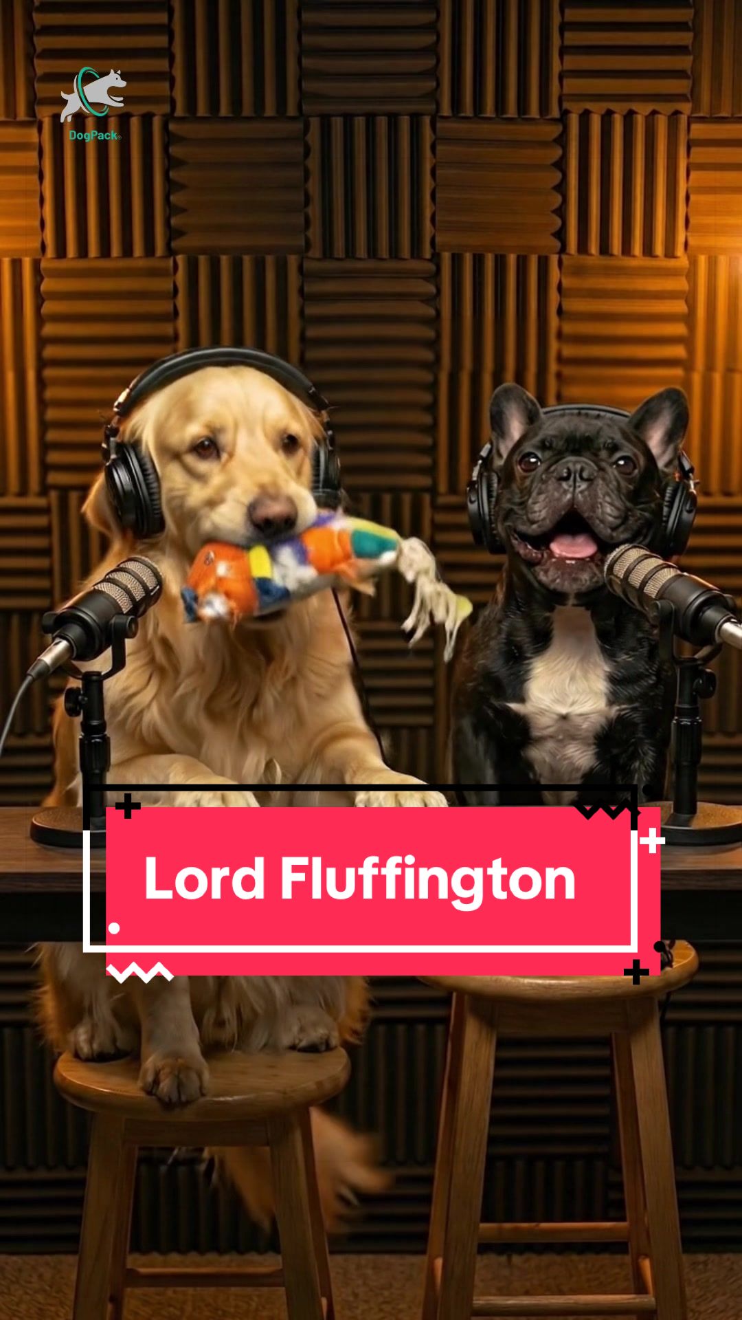 @DogPack