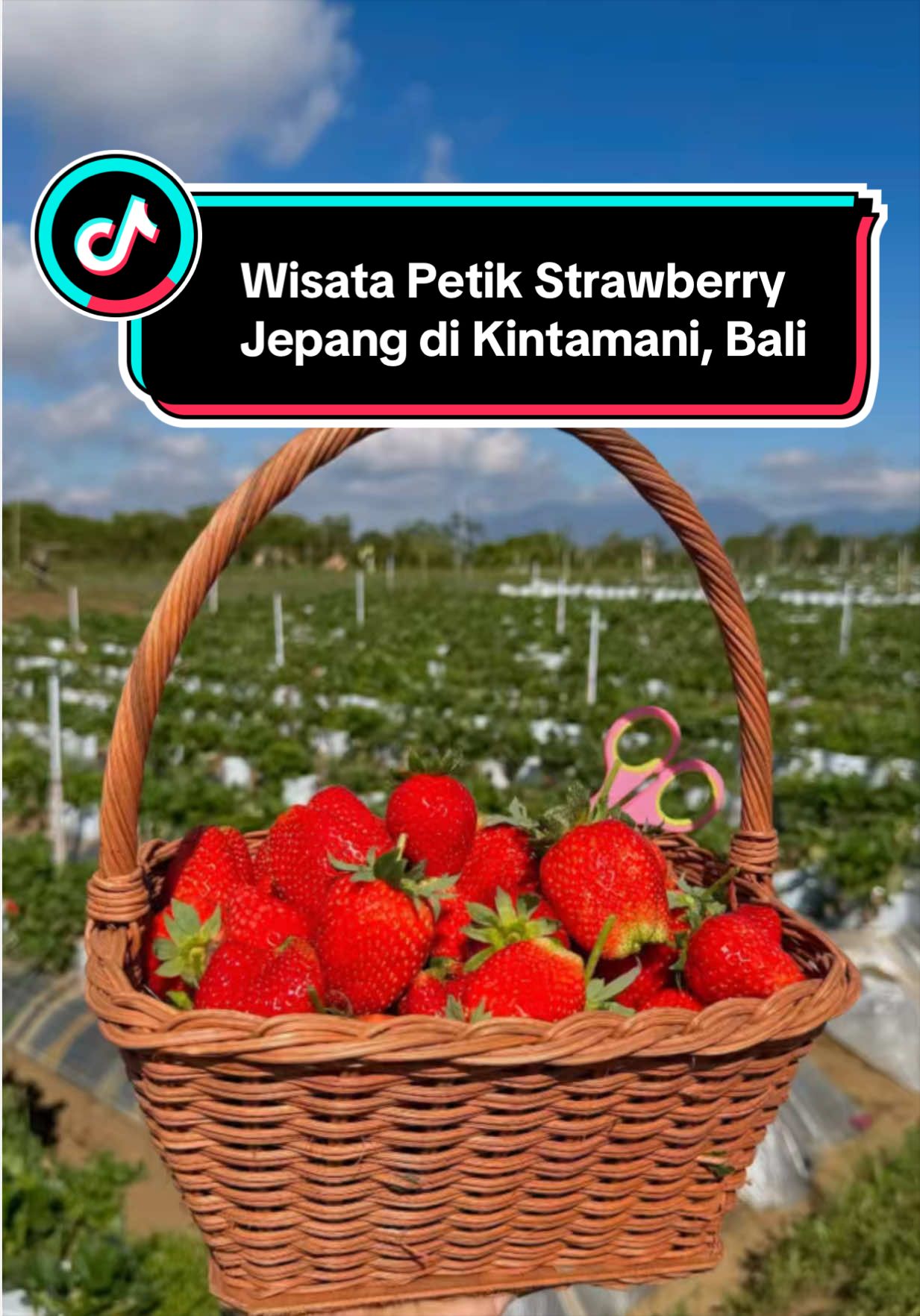 @Widek Asmara