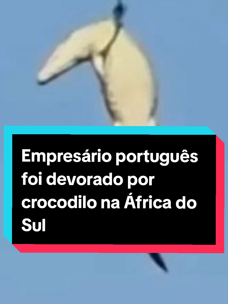 @Gomes Nascimento
