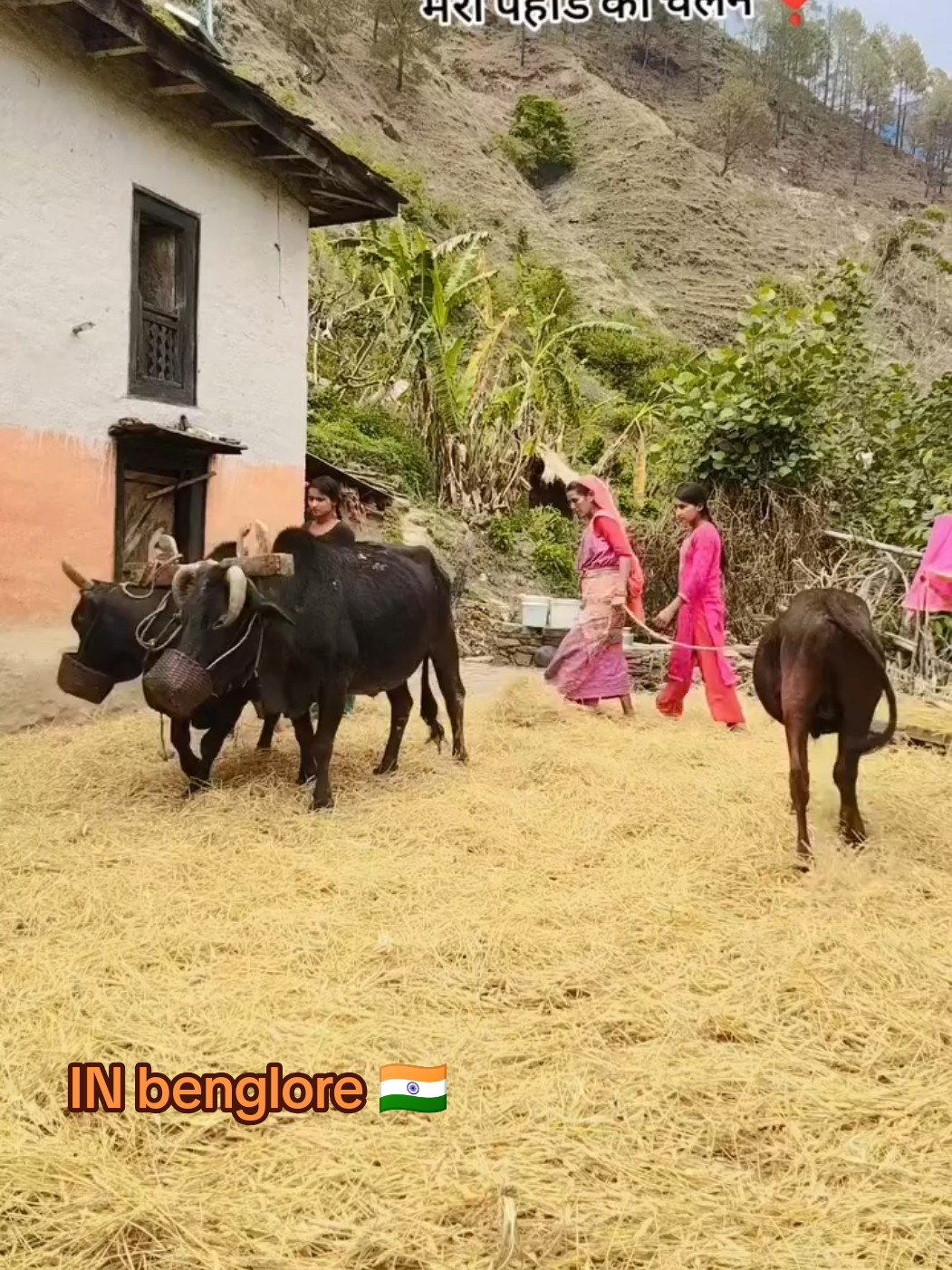 @🌈रुन्चे सुर्खेती १२१✍️]B🫀