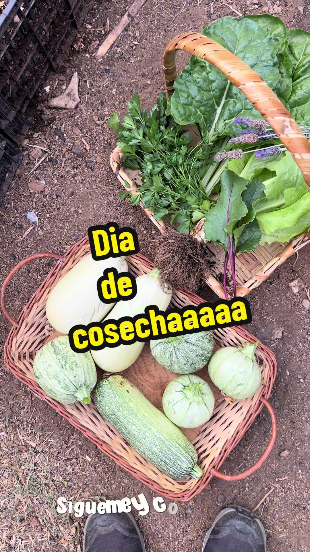 @cultivaconkarla