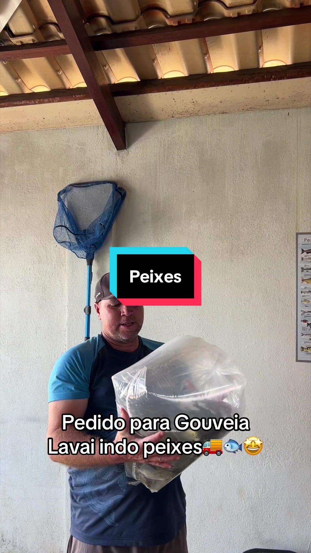 @Walter Fish