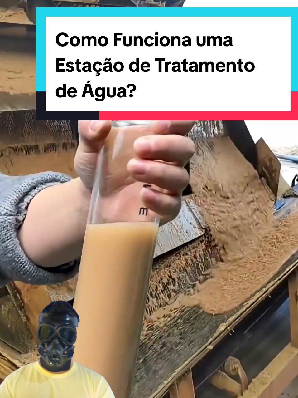 @Mundo da Curiosidades