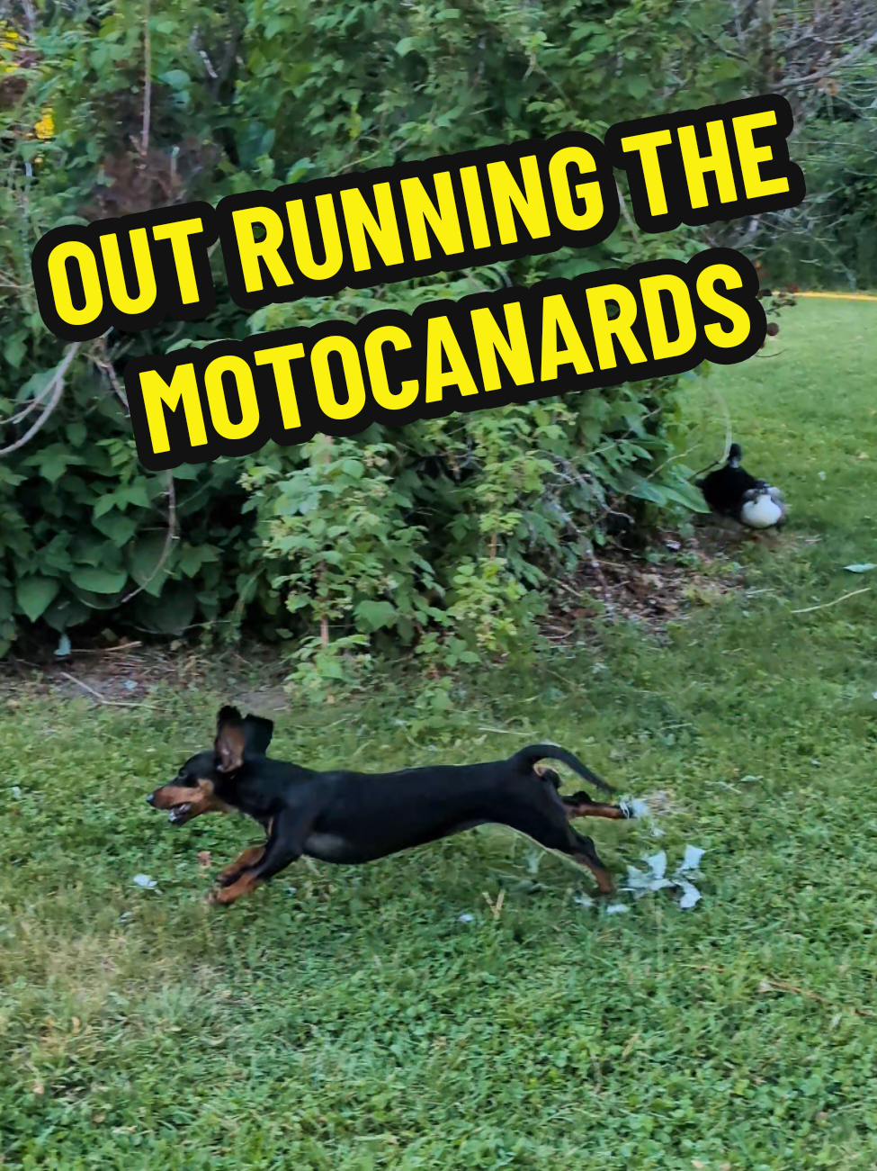 @TheTwoSmoker