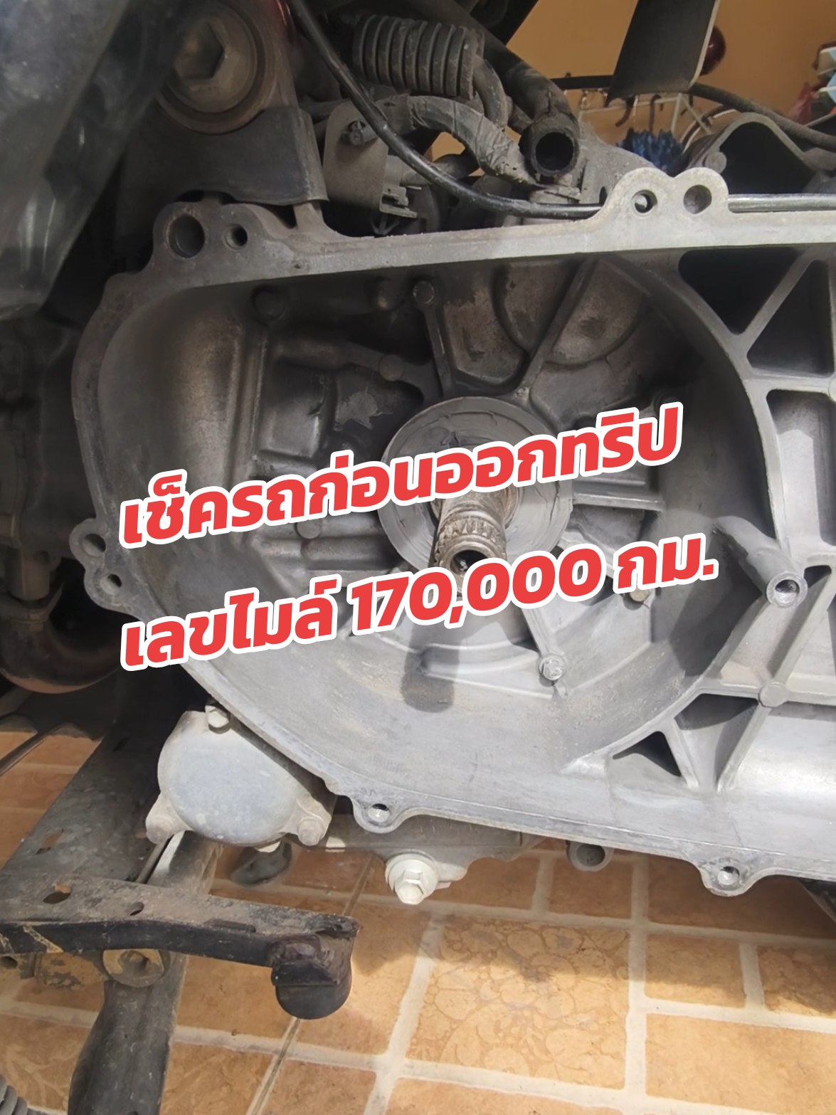 @ปวดดากทริป