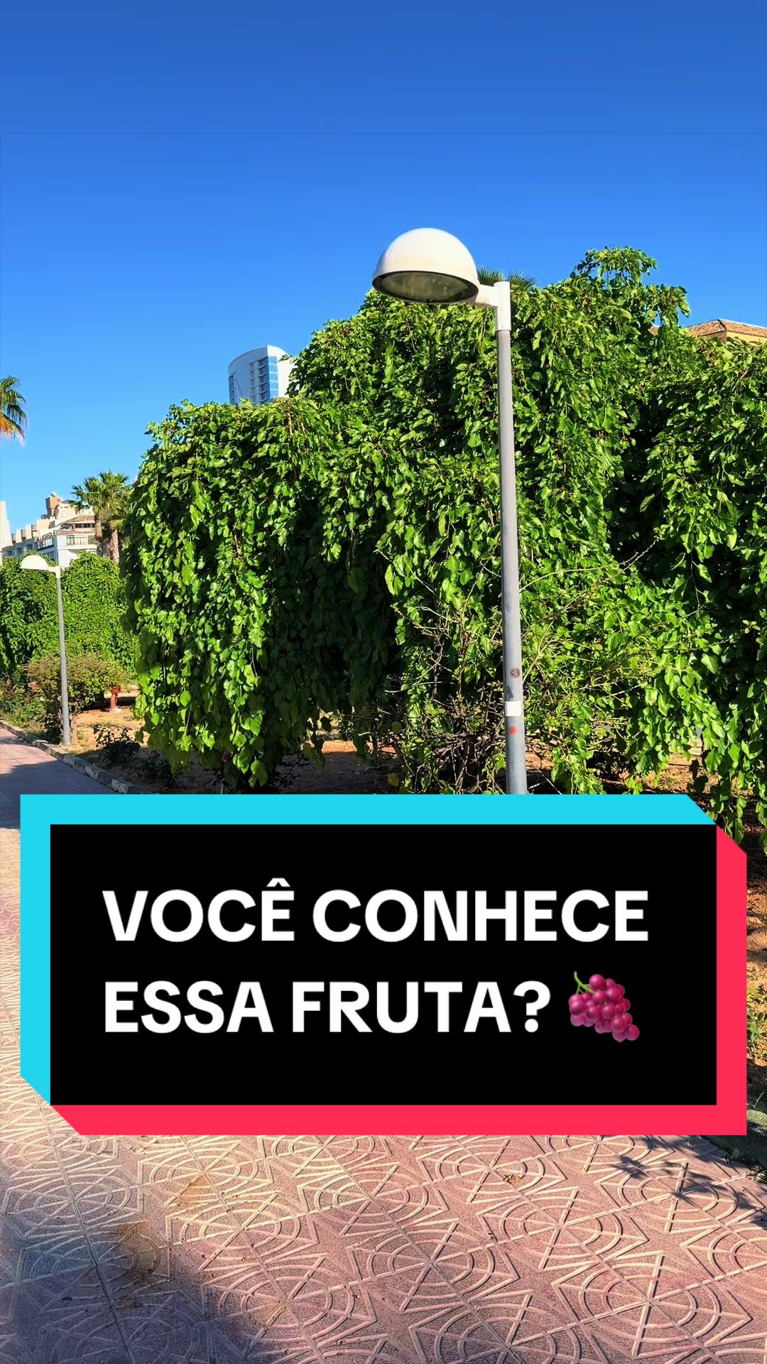 @Shayla Sandes 🇧🇷🇪🇸