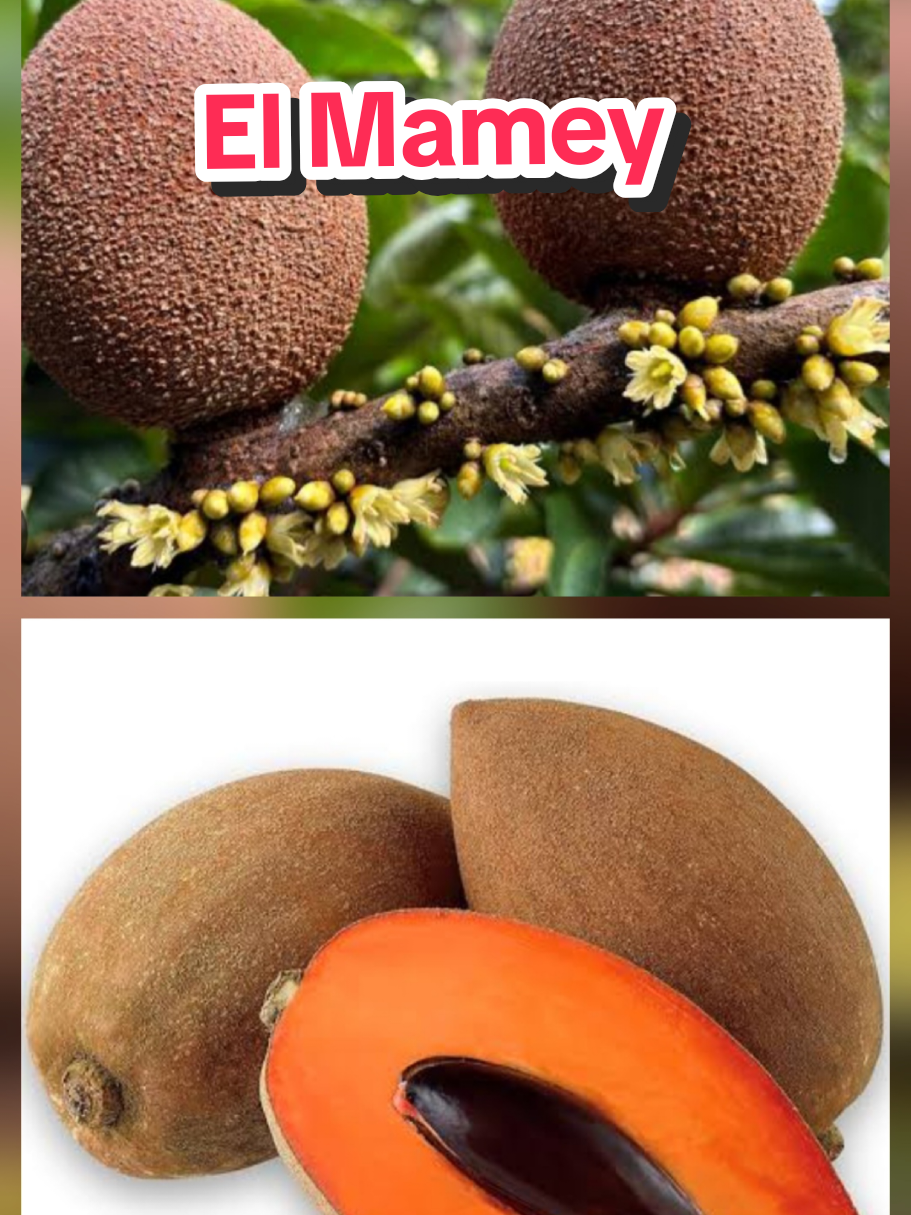@𝐉𝐨𝐬𝐲