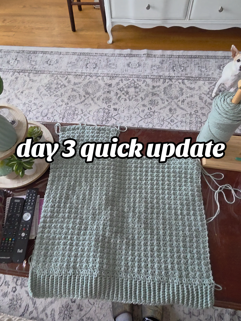@Lizzey The Crochet Lady