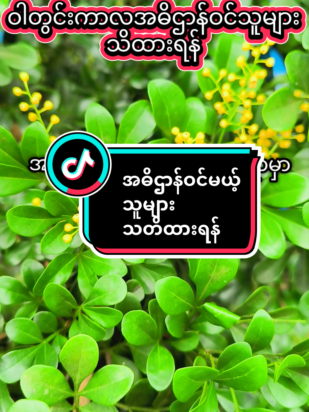 @๐๐๐ญ๐ฎ๐ซ๐ & ๐๐ก๐๐ฆ๐ฆ๐