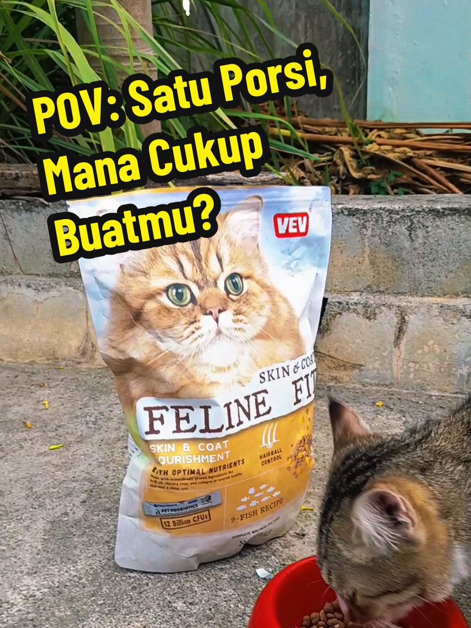 @Medayo Petcare