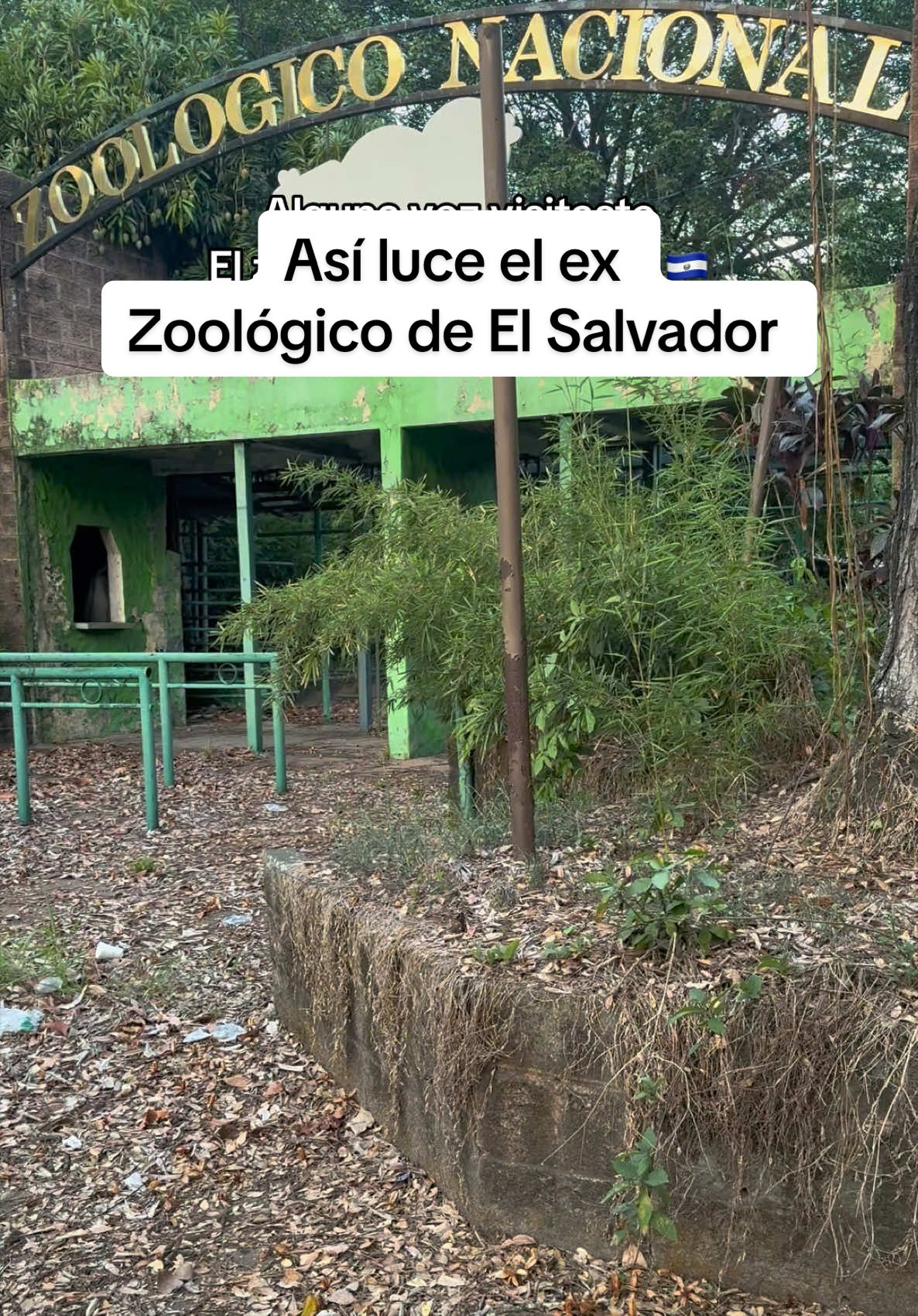 @Emerboss El Caminante 🦁 🇸🇻