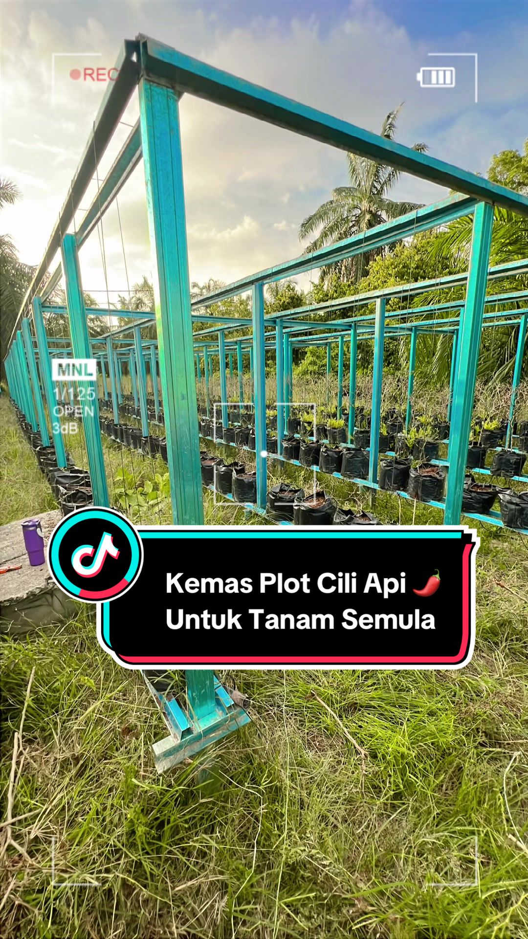 @Khairul Azwan | Petani Muda