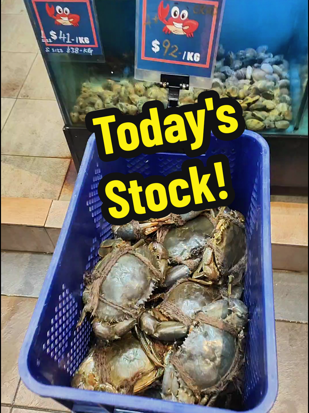 @Live Seafood Supply @ Crabtalk
