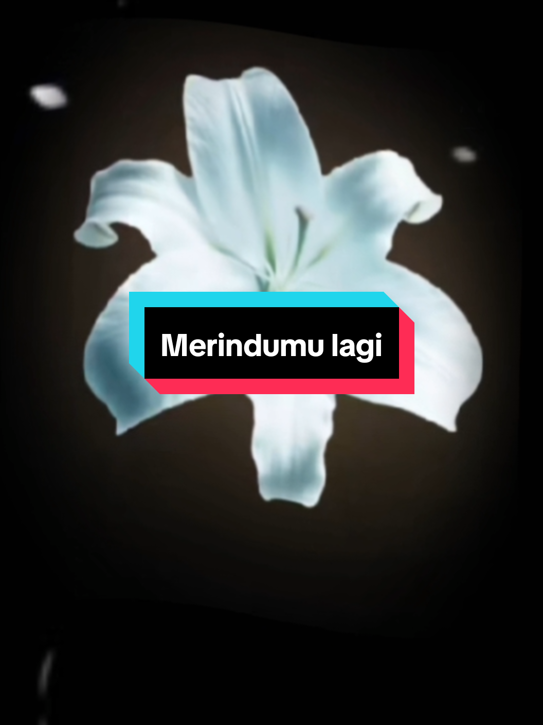 @๐๐๐ ๐๐ข๐ค๐๐ฒโ