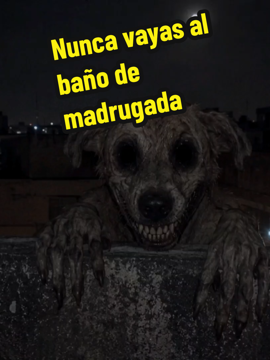 @El diario de coraje