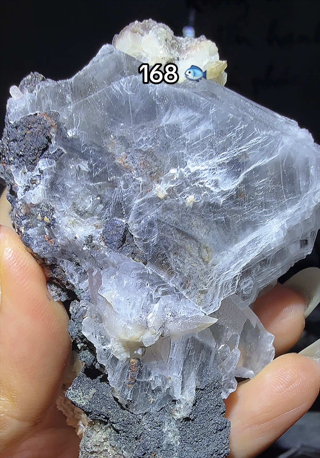 @Halen Crystal