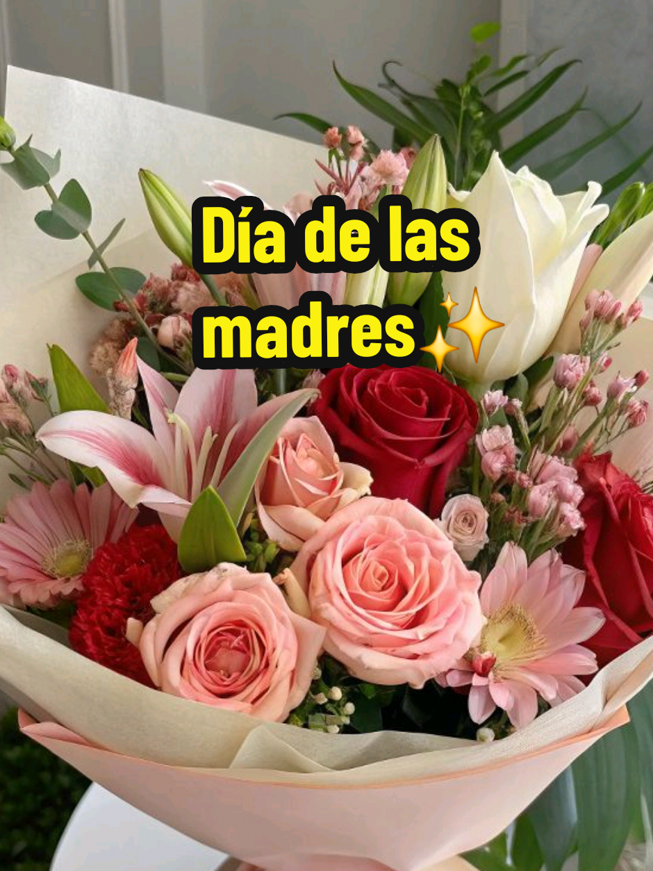 @Mafer Molro