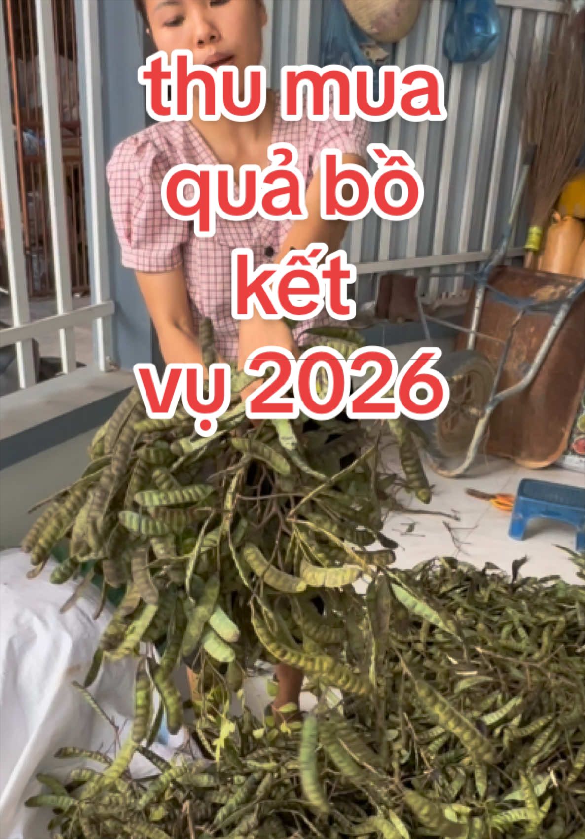 @Nhà Vườn Vũ Mai