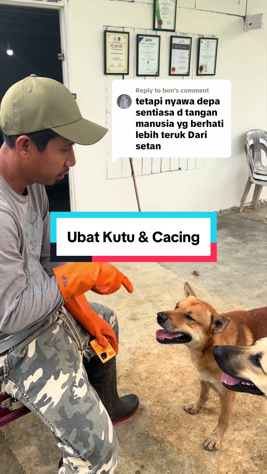@Dusun Cikgu Mail