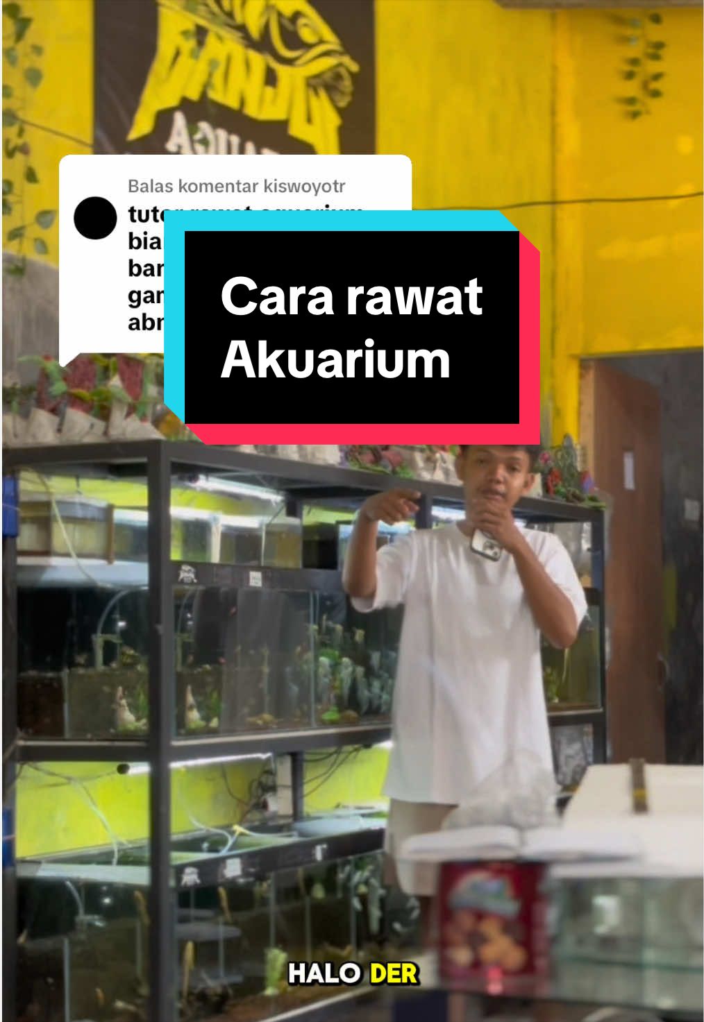 @Panjul Aquafish