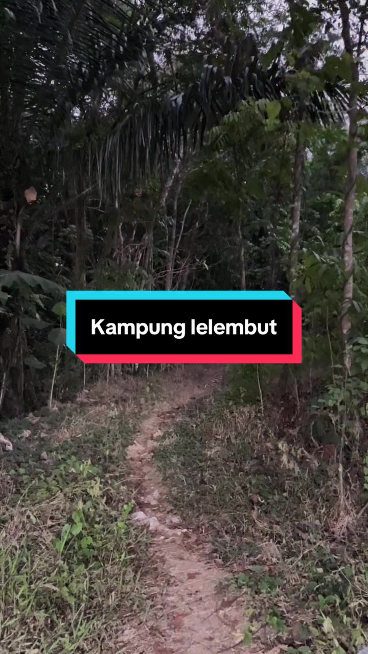 @AKAR MISTERI