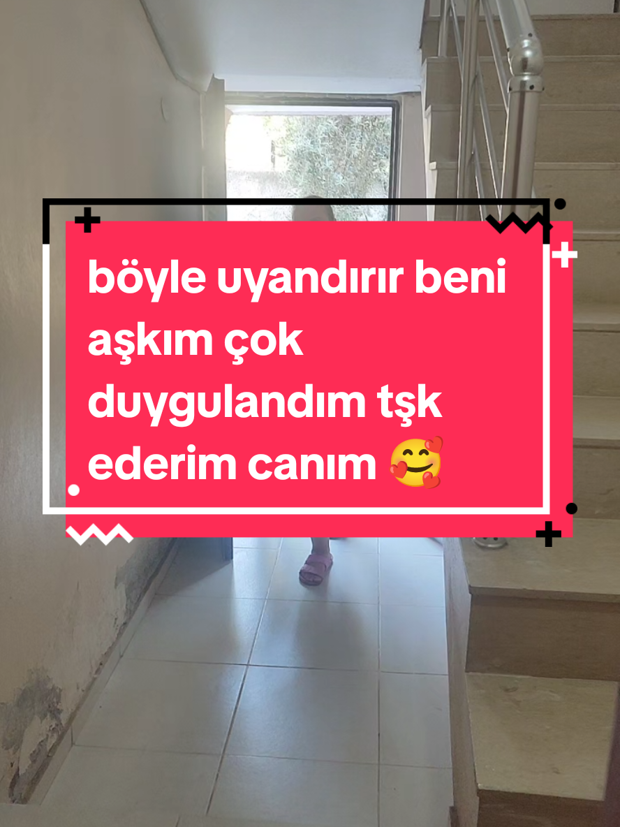 @🚨çerkezz🚨 ℠
