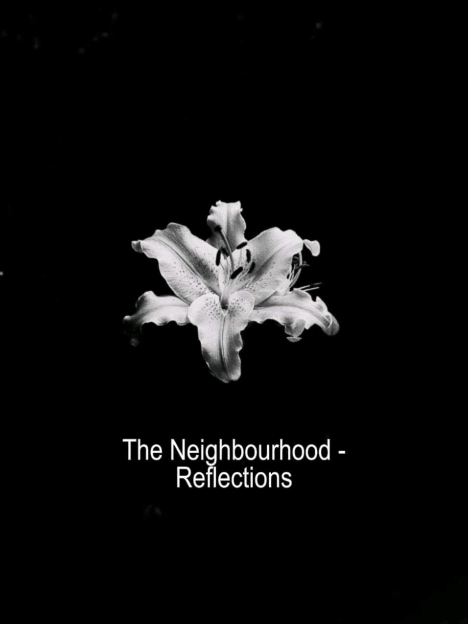 @𝐕enus 𝐒ongs. 𖦤₊⊹